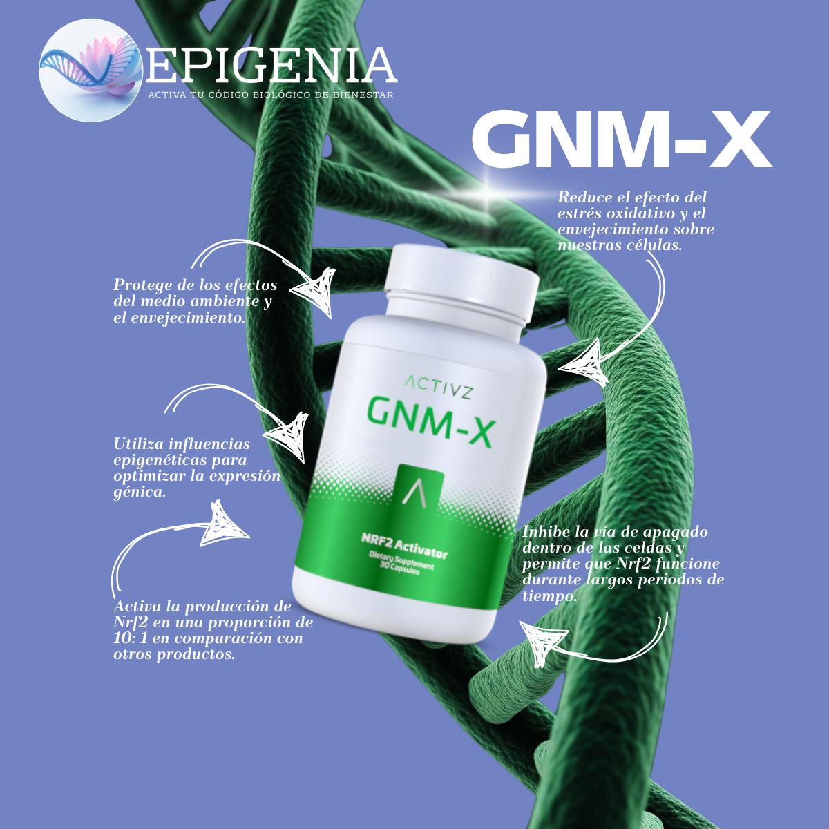 GNM-X ACTIVZ