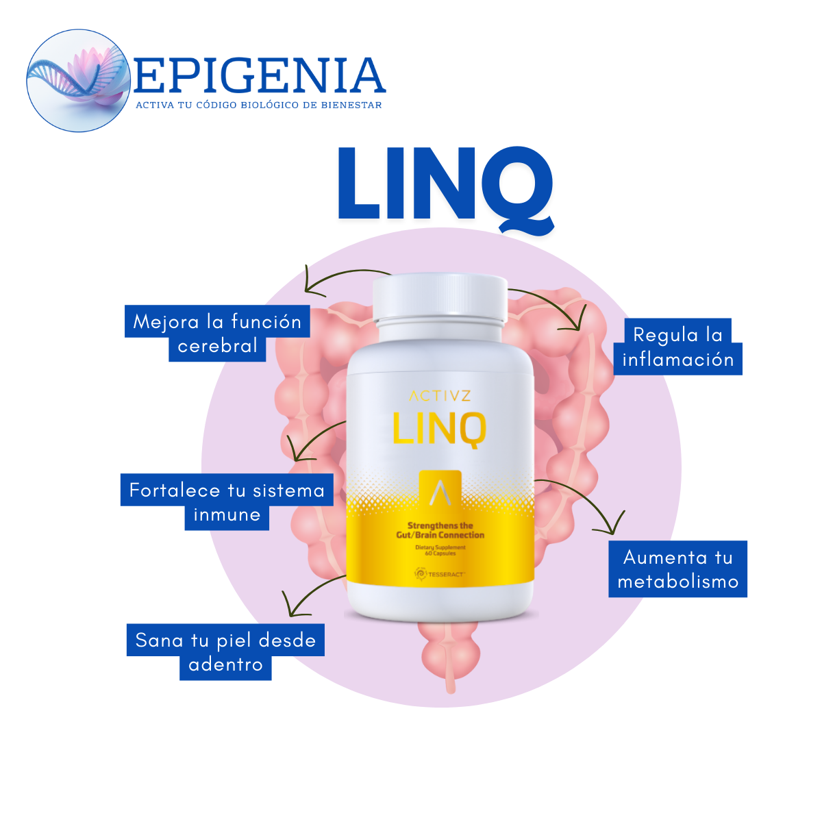 LINQ ACTIVZ