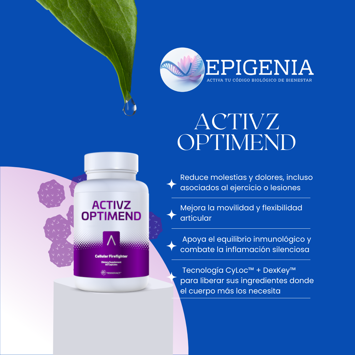 OPTIMEND ACTIVZ